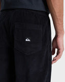 Taxer Regular Cord Pant