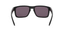 Holbrook Matte Black w/Prizm Grey Sunglasses