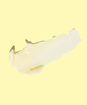 SunBum Surf Paste 85g